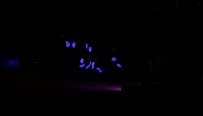 1580458794185460.gif 微信图片_20200131153648.gif